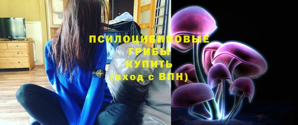 apvp Балахна