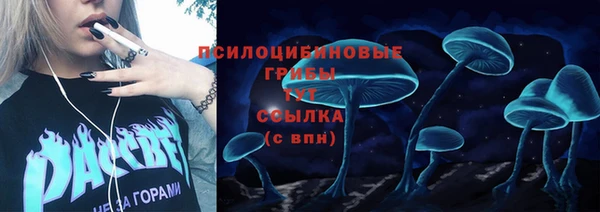 apvp Балахна