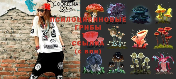 apvp Балахна