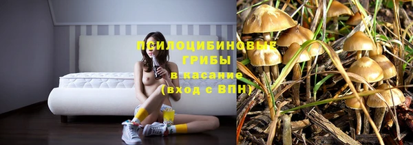 apvp Балахна