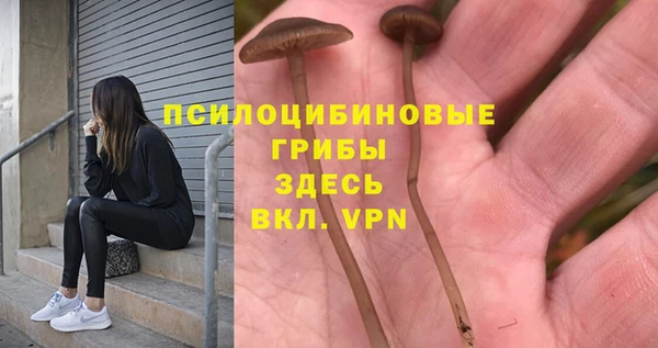 кокс Балабаново